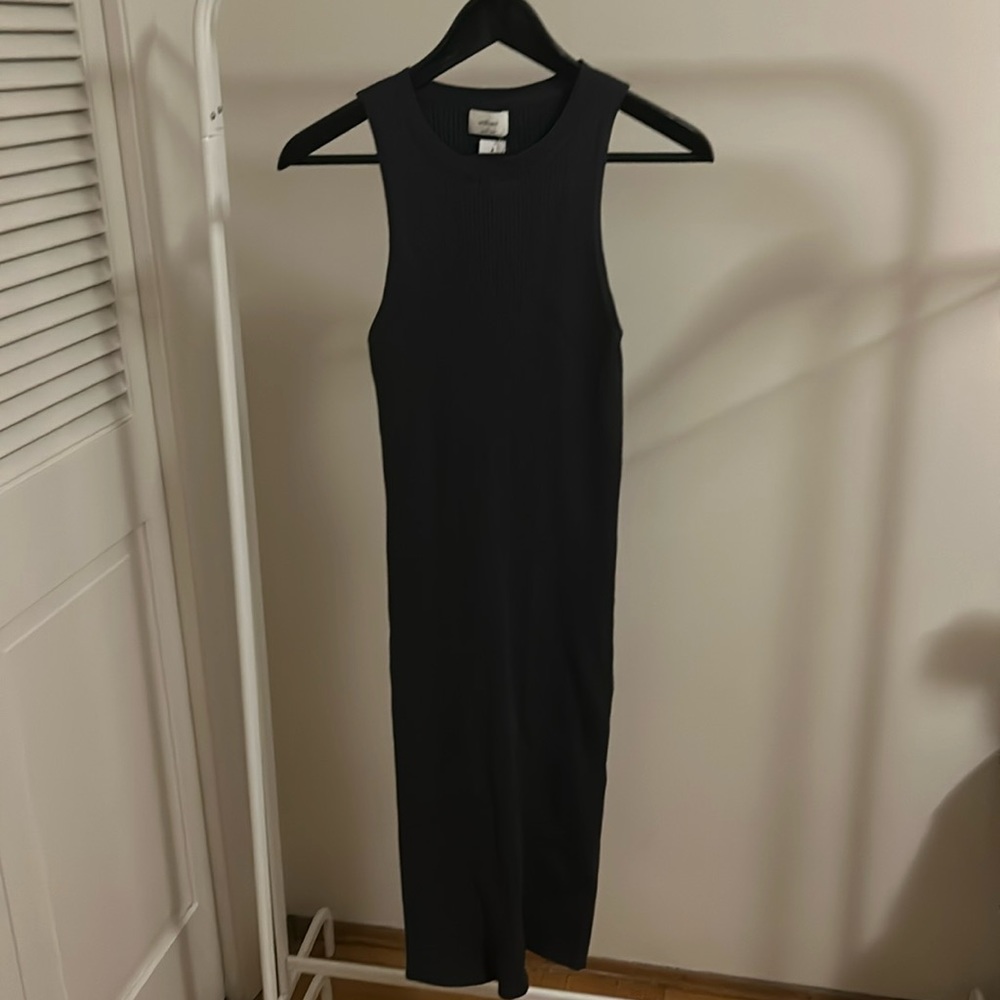 Wilfred Moonstruck dress
